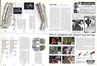 Better Homes & Gardens June 1959 Magazine Article: Page 144