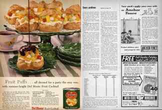 Better Homes & Gardens July 1959 Magazine Article: Page 20