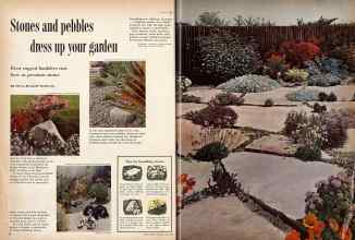 Better Homes & Gardens July 1959 Magazine Article: Stones and pebbles dress up your garden