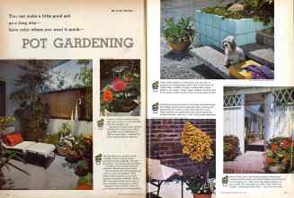 Better Homes & Gardens July 1959 Magazine Article: POT GARDENING