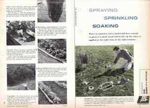 Better Homes & Gardens August 1959 Magazine Article: SPRAYING SPRINKLING SOAKING