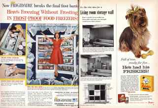 Better Homes & Gardens August 1959 Magazine Article: Page 20