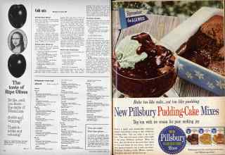 Better Homes & Gardens August 1959 Magazine Article: Page 82