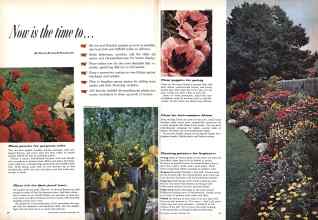 Better Homes & Gardens September 1959 Magazine Article: Now is the time to . . .