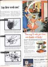 Better Homes & Gardens October 1959 Magazine Article: Stop these weeds now!