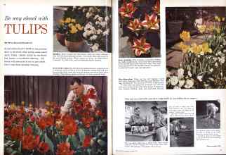 Better Homes & Gardens October 1959 Magazine Article: Page 70