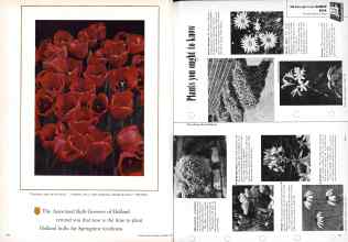 Better Homes & Gardens October 1959 Magazine Article: Page 192