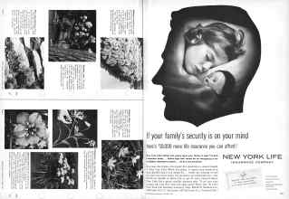 Better Homes & Gardens October 1959 Magazine Article: Page 194