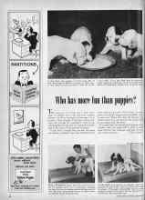 Better Homes & Gardens November 1959 Magazine Article: Who has more fun than puppies?