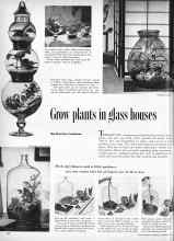 Better Homes & Gardens November 1959 Magazine Article: Grow plants in glass houses
