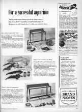Better Homes & Gardens November 1959 Magazine Article: For a successful aquarium
