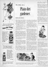 Better Homes & Gardens November 1959 Magazine Article: The diary of a Plain dirt gardener