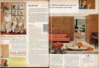 Better Homes & Gardens November 1959 Magazine Article: Page 36