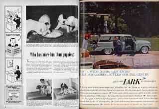 Better Homes & Gardens November 1959 Magazine Article: Page 38