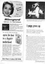 Better Homes & Gardens December 1959 Magazine Article: A puppy grows up