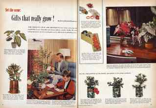 Better Homes & Gardens December 1959 Magazine Article: Set the scene: Gifts that really grow!