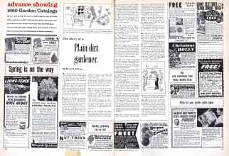 Better Homes & Gardens December 1959 Magazine Article: The diary of a Plain dirt gardener
