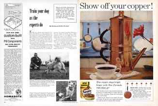 Better Homes & Gardens January 1960 Magazine Article: Page 28