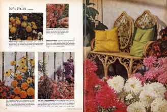 Better Homes & Gardens January 1960 Magazine Article: Page 38