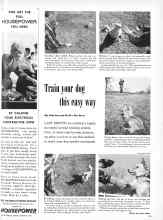 Better Homes & Gardens February 1960 Magazine Article: Train your dog this easy way