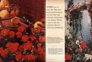 Better Homes & Gardens February 1960 Magazine Article: Page 40