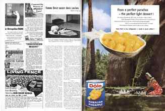 Better Homes & Gardens February 1960 Magazine Article: Page 110
