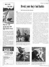 Better Homes & Gardens March 1960 Magazine Article: Break your dog's bad habits