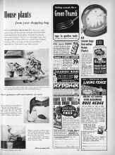 Better Homes & Gardens March 1960 Magazine Article: House plants from your shopping bag