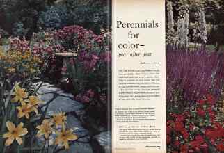 Better Homes & Gardens March 1960 Magazine Article: Perennials for color--year after year