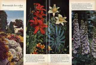 Better Homes & Gardens March 1960 Magazine Article: Page 60