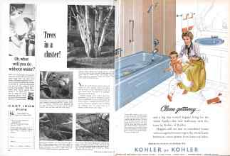 Better Homes & Gardens March 1960 Magazine Article: Page 168