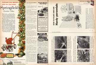 Better Homes & Gardens March 1960 Magazine Article: Page 178