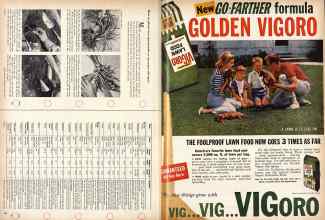 Better Homes & Gardens March 1960 Magazine Article: Page 180