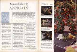 Better Homes & Gardens April 1960 Magazine Article: Page 73