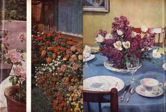 Better Homes & Gardens April 1960 Magazine Article: Page 75