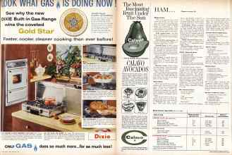 Better Homes & Gardens April 1960 Magazine Article: Page 93