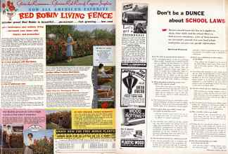 Better Homes & Gardens April 1960 Magazine Article: Page 165