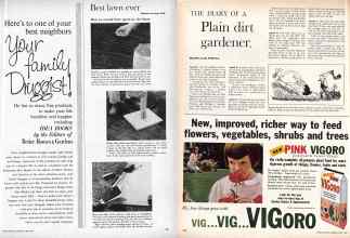Better Homes & Gardens April 1960 Magazine Article: Page 211