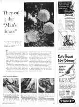 Better Homes & Gardens May 1960 Magazine Article: They call it the 