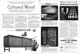 Better Homes & Gardens May 1960 Magazine Article: Page 8