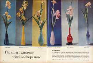 Better Homes & Gardens May 1960 Magazine Article: The smart gardener window-shops now!