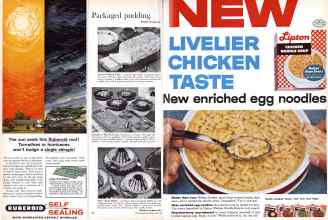 Better Homes & Gardens May 1960 Magazine Article: Page 98