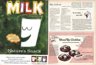 Better Homes & Gardens May 1960 Magazine Article: Page 110