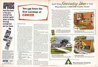 Better Homes & Gardens May 1960 Magazine Article: Page 170