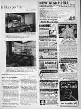 Better Homes & Gardens June 1960 Magazine Article: How to get plans