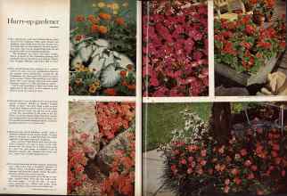 Better Homes & Gardens June 1960 Magazine Article: Page 52