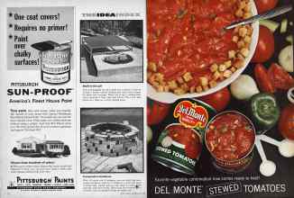 Better Homes & Gardens July 1960 Magazine Article: Page 16