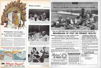 Better Homes & Gardens July 1960 Magazine Article: Page 20