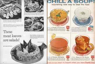 Better Homes & Gardens July 1960 Magazine Article: Page 64