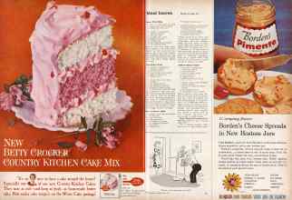 Better Homes & Gardens July 1960 Magazine Article: Page 66